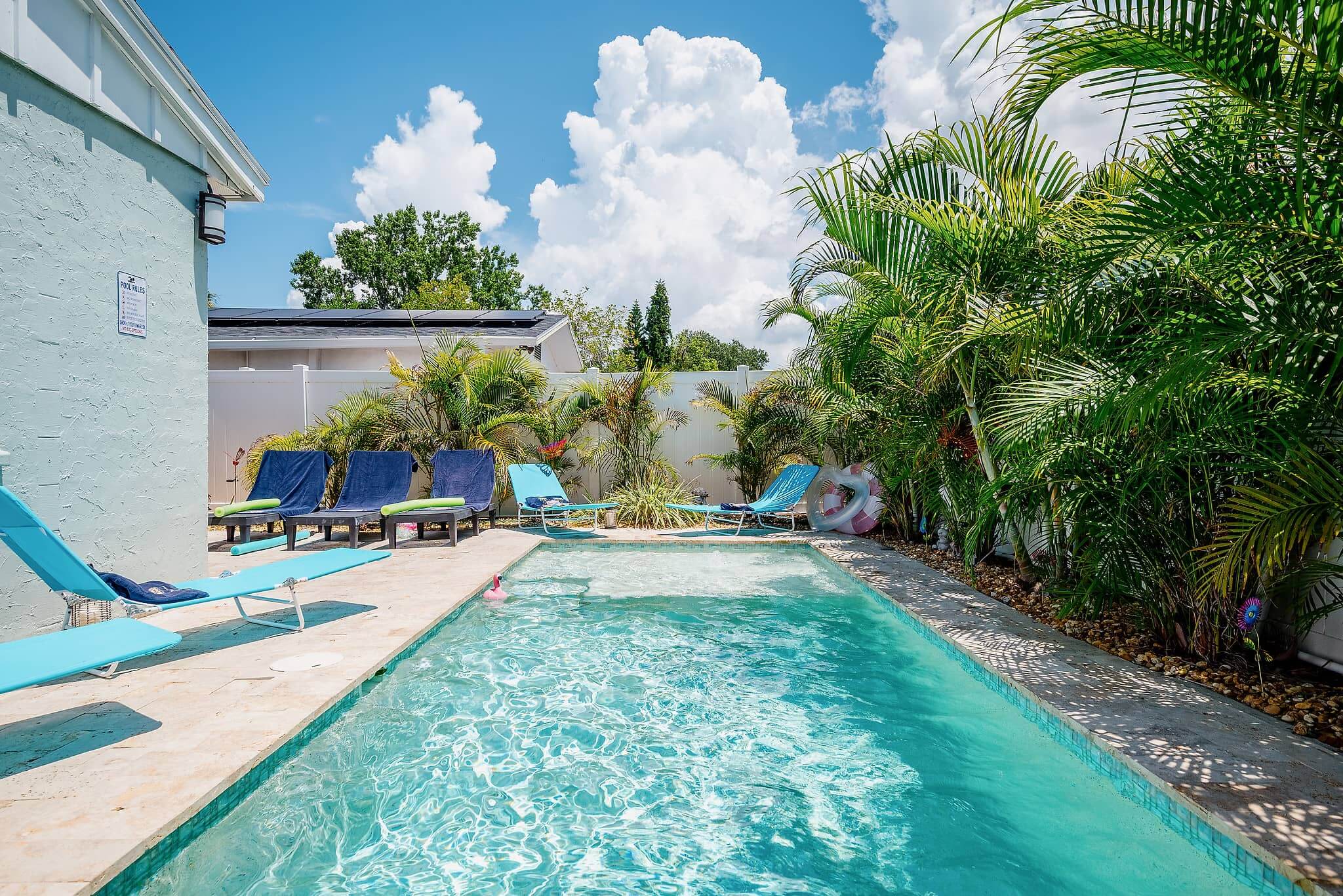Private pool surrounded by tropical palm trees at Tropical Disco vacation rental, St. Petersburg Florida